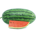  Sweet Beauty Hybrid Watermelon