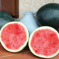  Harvest Moon Hybrid Seedless Watermelon
