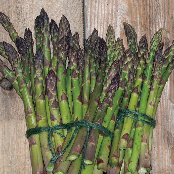  Jersey Supreme Asparagus