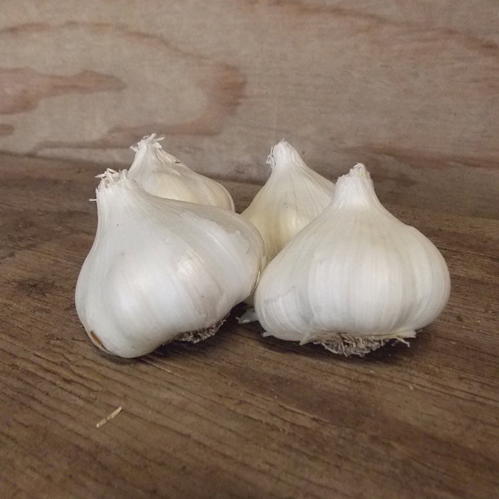  California White Garlic