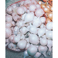  White Onion Sets