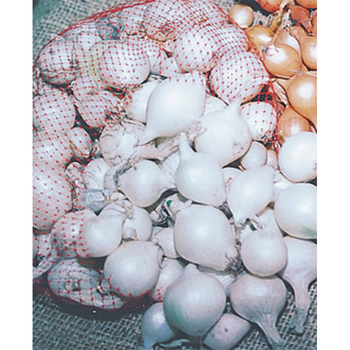  White Onion Sets