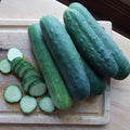  Organic Straight Eight Cucumber