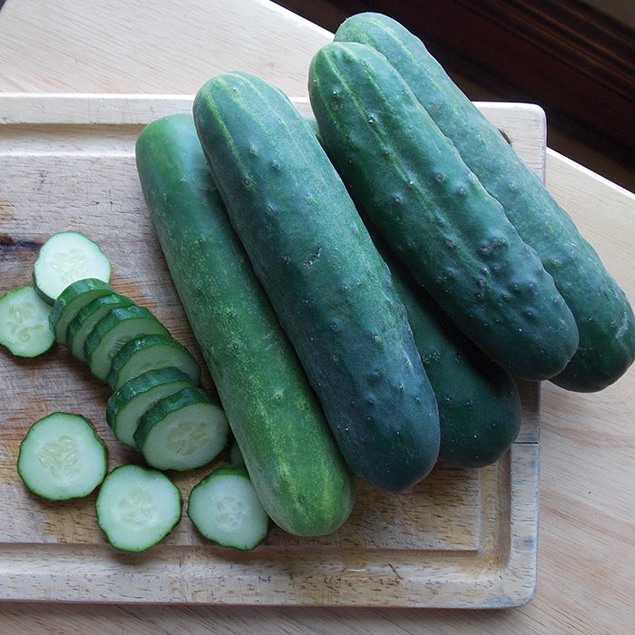  Organic Straight Eight Cucumber
