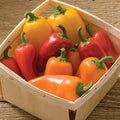  Lunchbox Mix Pepper