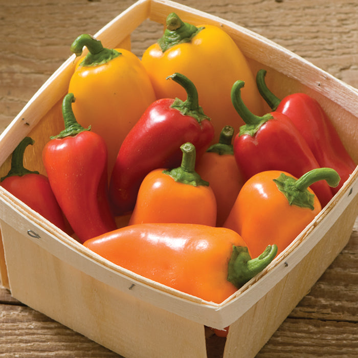  Lunchbox Mix Pepper