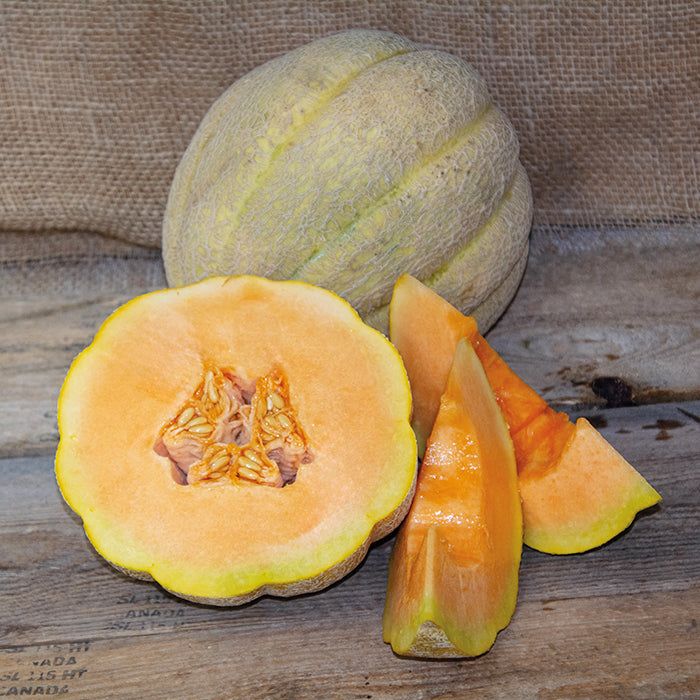  Pride Of Wisconsin Organic Muskmelon