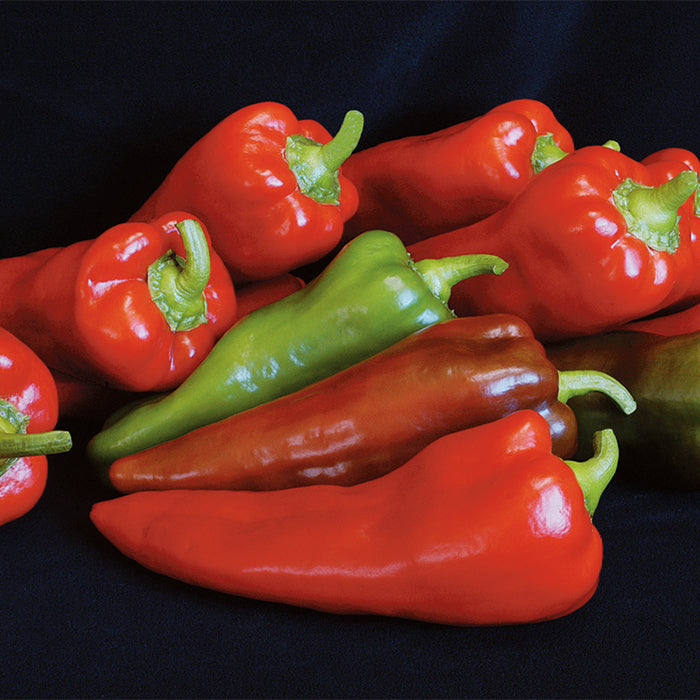  Carmen Hybrid Organic Pepper