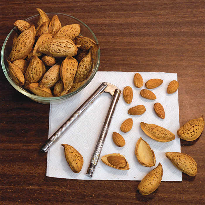  Oracle&trade; Ukrainian Almonds