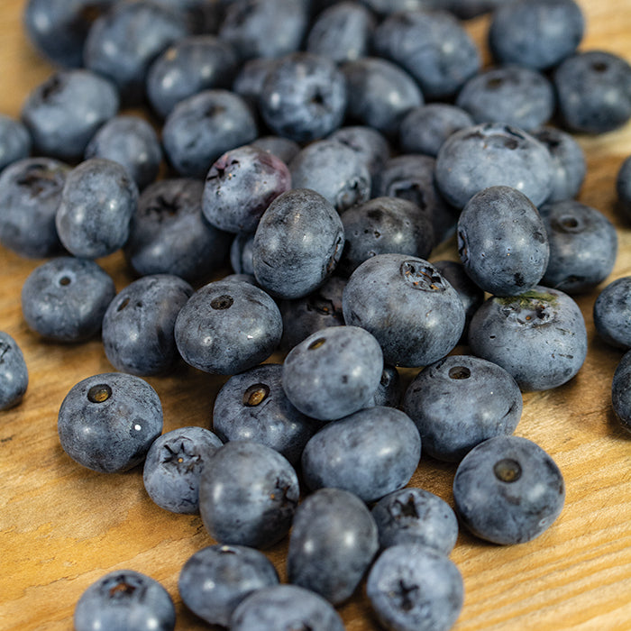  Duke Blueberry