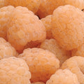  Anne Fall Bearing Raspberry