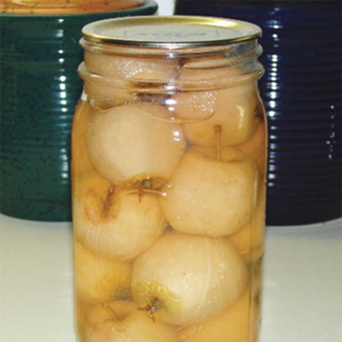  Whitney Semi Dwarf Crab Apple