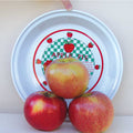  Wolf River Dwarf Apple