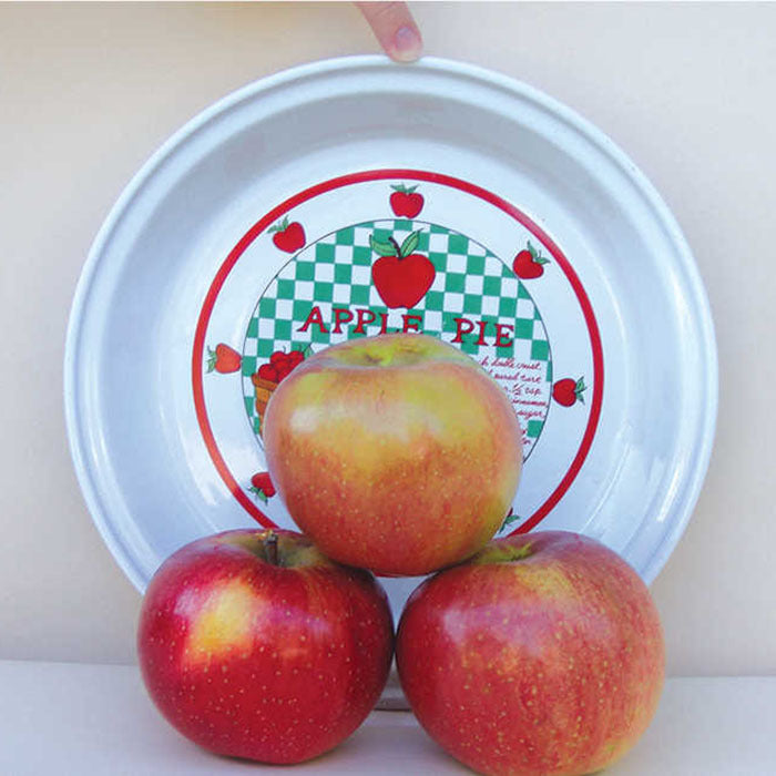  Wolf River Dwarf Apple
