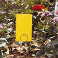  Insect Trap Offer