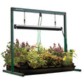  Jump Start&trade; Tabletop Grow Light System - 2 Foot