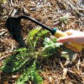  Ez Digger Cultivator