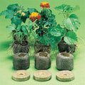  Jiffy-7&reg; Plant Starters