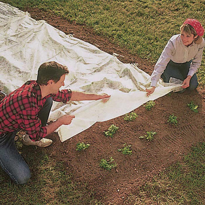  Floating Row Cover (5' X 50')