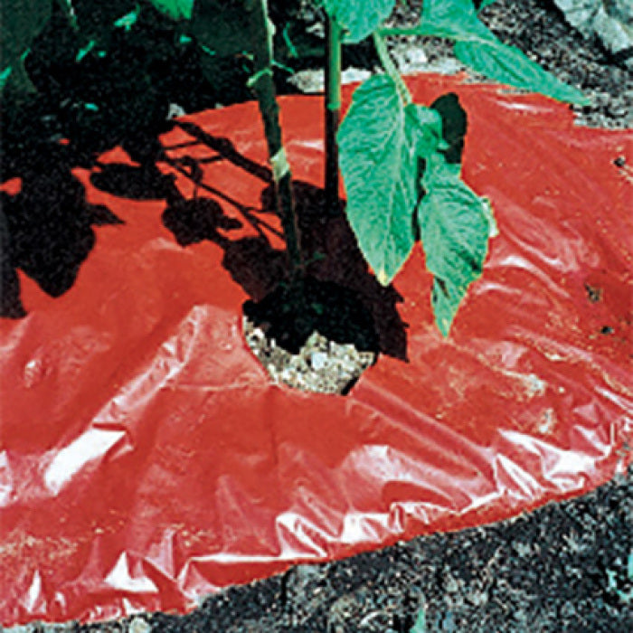  S R M Red Mulch Film (4' X 30')