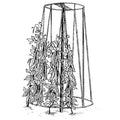  Bean And Pea Tower
