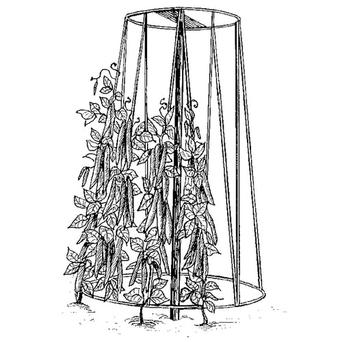 Bean And Pea Tower