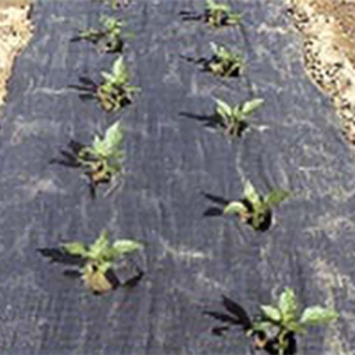  The Original Planters Paper&reg; (24" X 50')