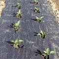  The Original Planters Paper&reg; (48" X 100')