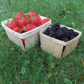  Pint Wooden Berry Boxes