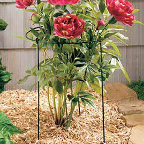  20 Inch Grow Through Plant Supports