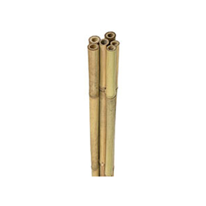  Bamboo Plants Supports 6 Foot