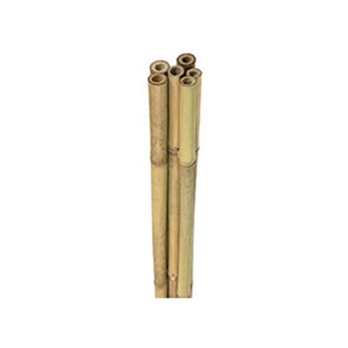  Bamboo Plants Supports 6 Foot