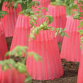  Kozy Coats Plant Protectors