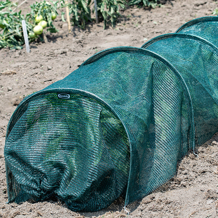  Giant Net Easy Tunnel