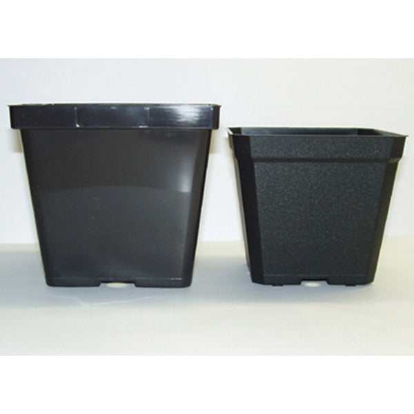  4 Inch Square Pot