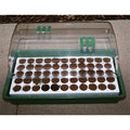  Q Plug 55 Pack Refill