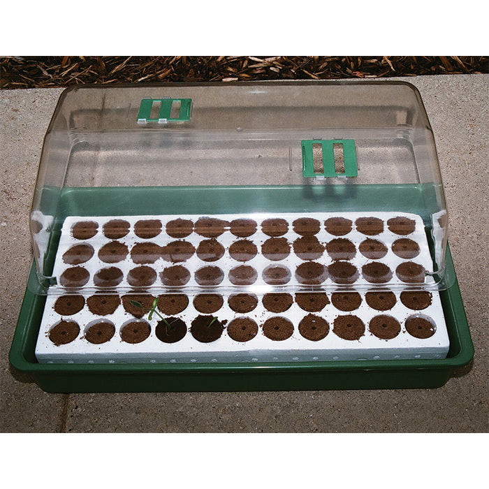  Q Plug 55 Pack Refill