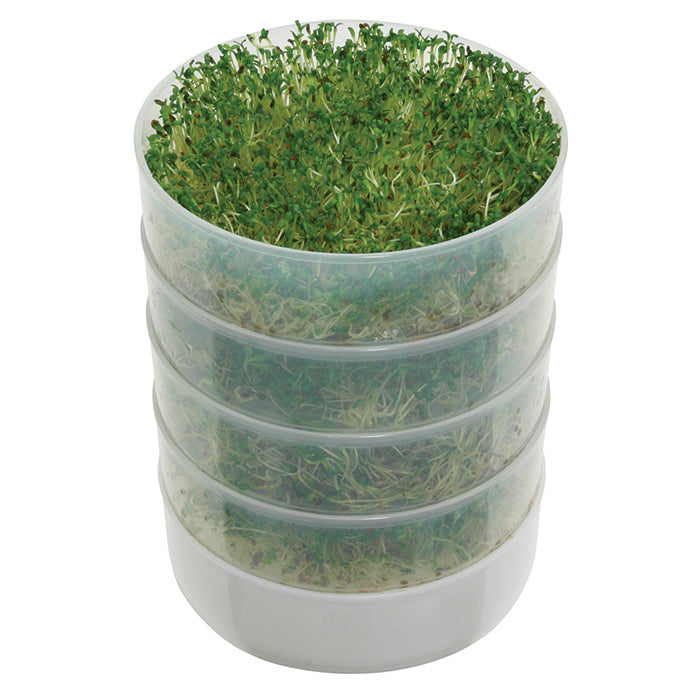  Kitchen Crop Sprouter