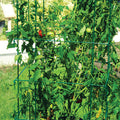  Jung Jumbo Green Tomato Cages
