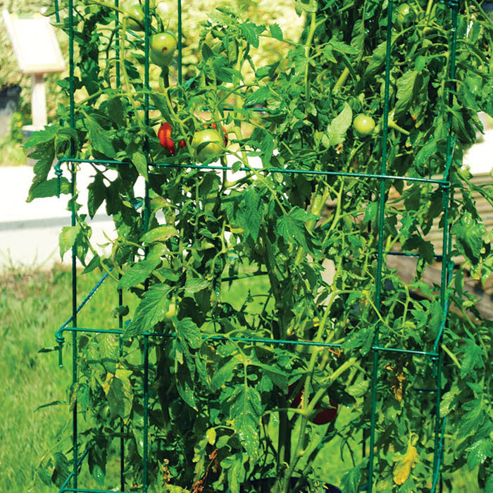 Jung Jumbo Green Tomato Cages