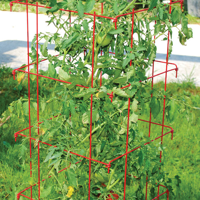  Jung Jumbo Red Tomato Cages