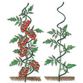 Spiral Support