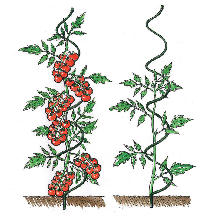  Spiral Support