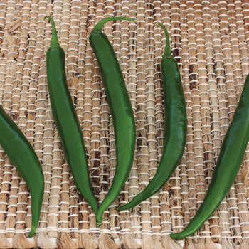  Crackle Hybrid Pepper