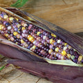  Glass Gem Ornamental Corn