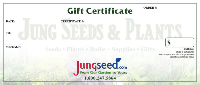  Gift Certificate