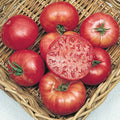  Mortgage Lifter Tomato